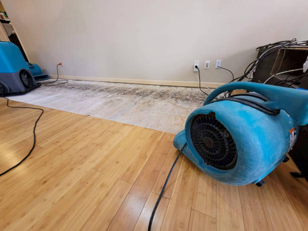 Reliable Basement Flood Cleanup contractor in East Hampton, NY by Hirex Water Damage