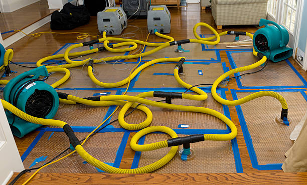 Professional Basement Flood Cleanup technician working in East Hampton, NY